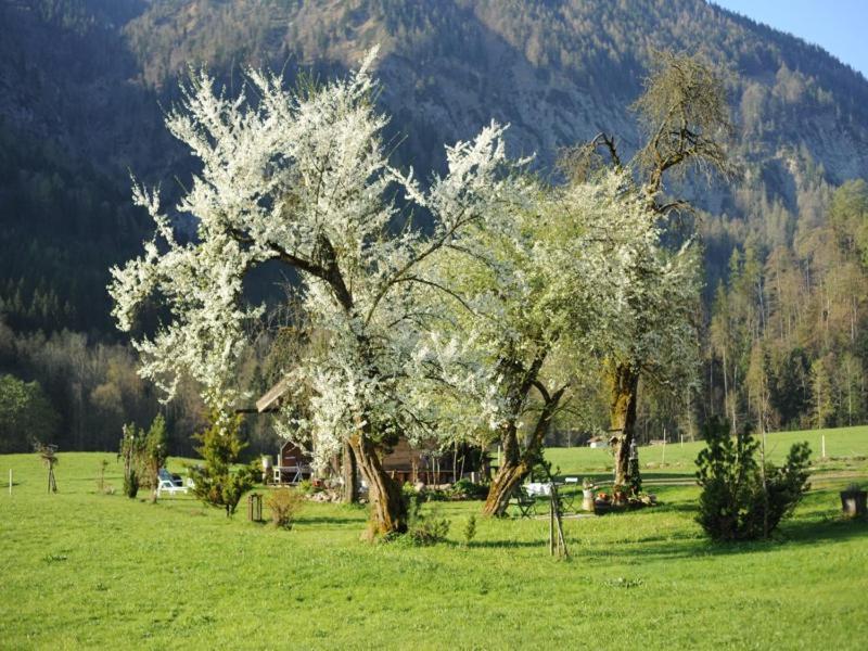 Hansenbauernhof Inkl. Chiemgaukarte ルーポルディング エクステリア 写真